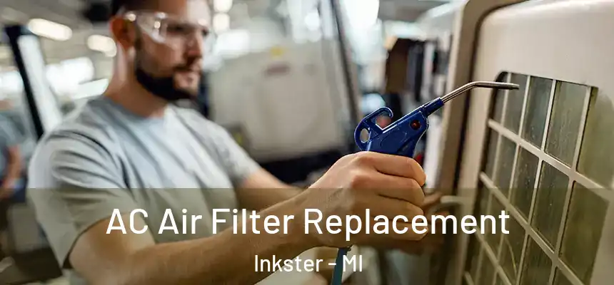  AC Air Filter Replacement Inkster - MI