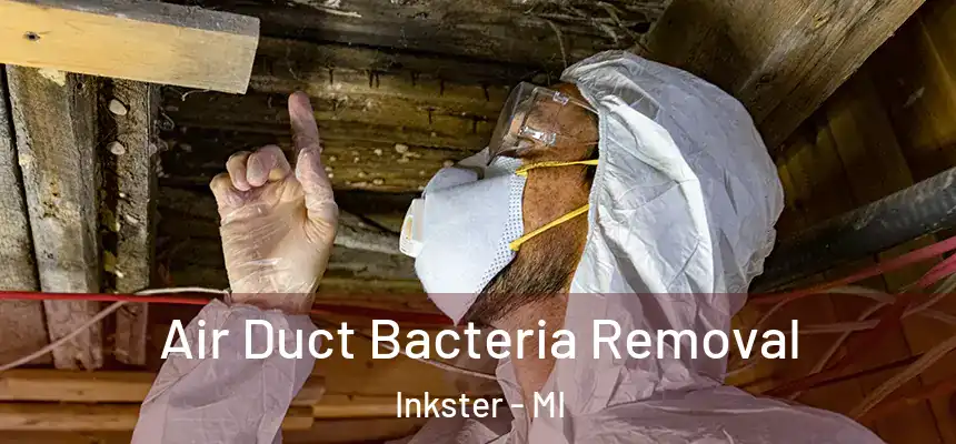  Air Duct Bacteria Removal Inkster - MI
