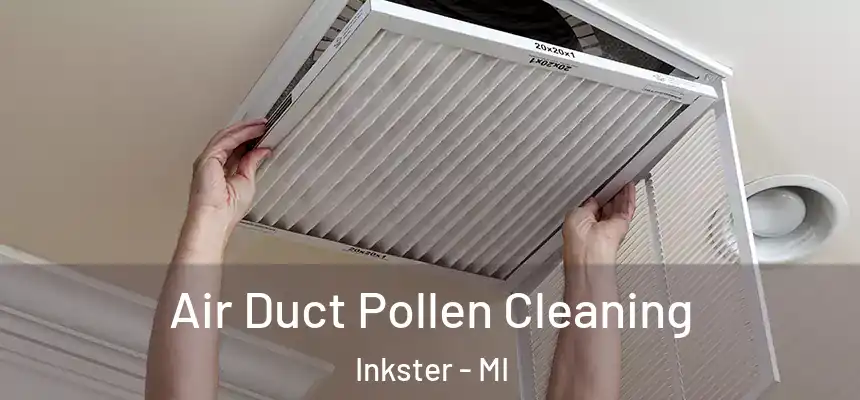  Air Duct Pollen Cleaning Inkster - MI