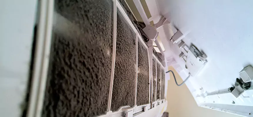 Preventive Air Duct Bacteria Removal in Inkster