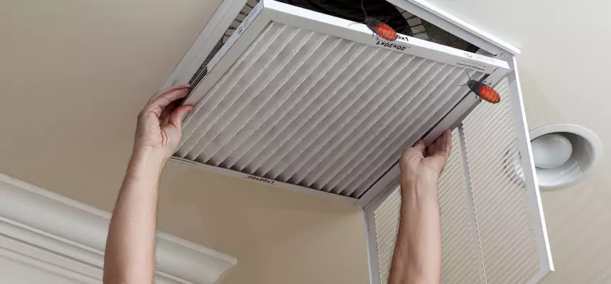 Preventive Cockroach-Proofing for Ducts in Inkster