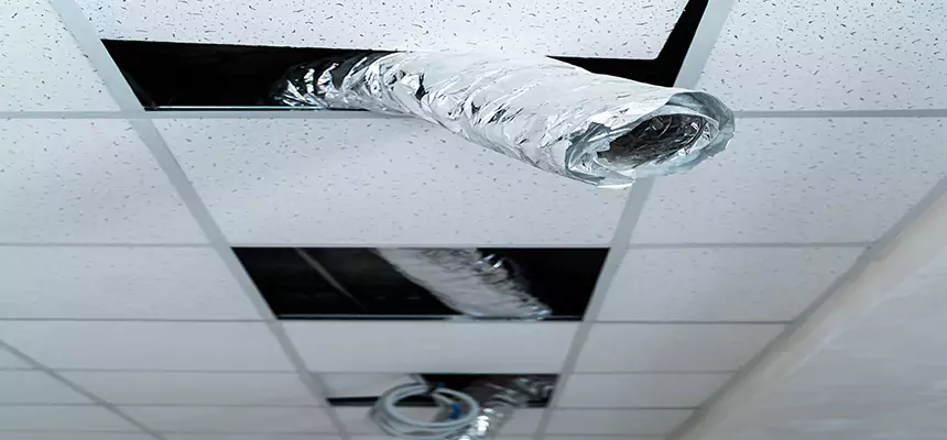 Affordable HVAC Sanitizing After Pest Removal in Inkster