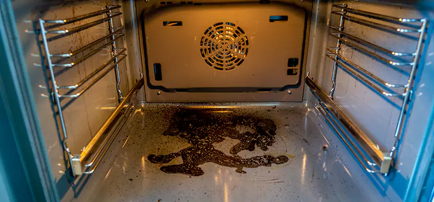 Our Air Purifier Installation Services in Inkster, MI