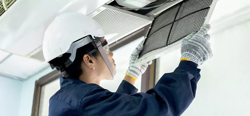 Our Mold & Mildew Removal from Air Ducts Services in Inkster, MI