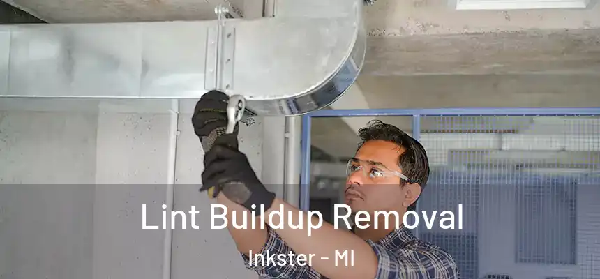  Lint Buildup Removal Inkster - MI