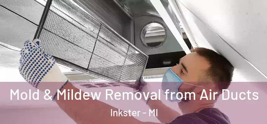  Mold & Mildew Removal from Air Ducts Inkster - MI