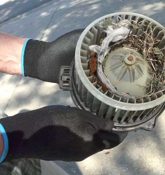 About Air Duct Mice Removal in Inkster, MI