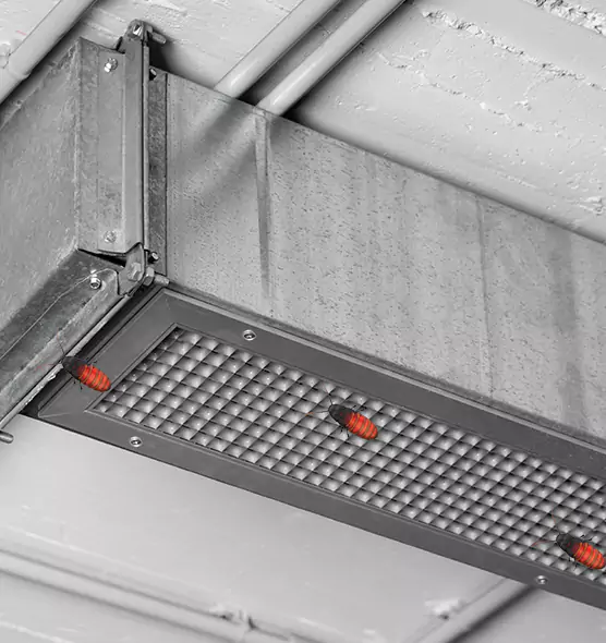 Affordable Insect Removal from Air Ducts in Inkster, MI