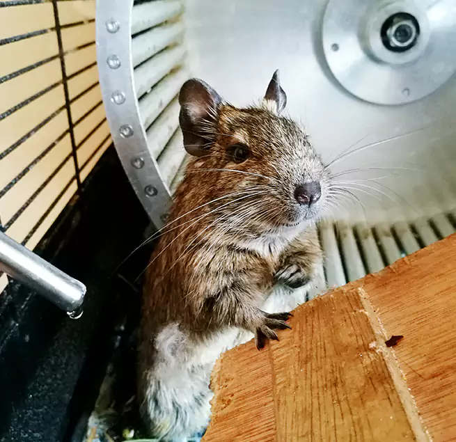 Why Homeowners & Businesses Trust Us Inkster, MI?