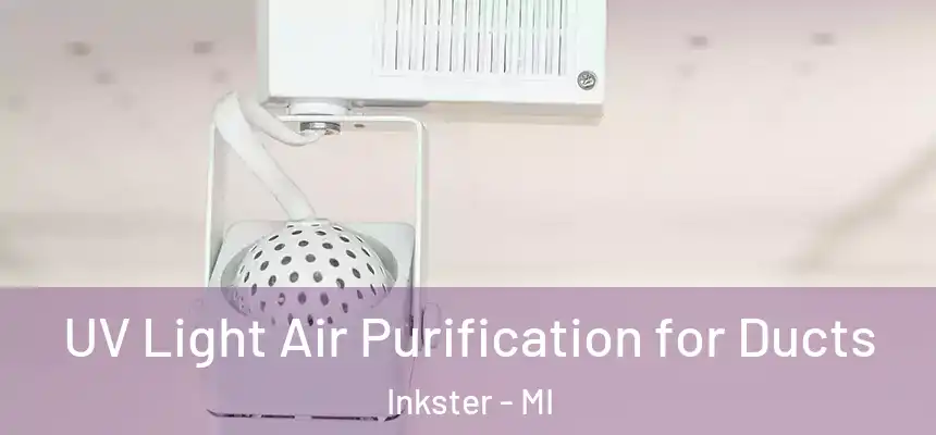  UV Light Air Purification for Ducts Inkster - MI